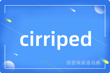 cirriped