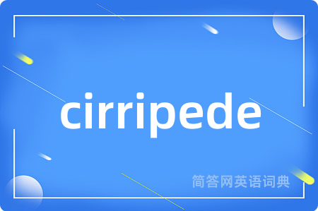 cirripede
