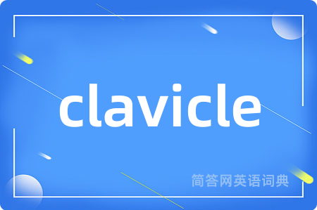 clavicle