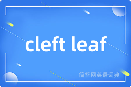 cleft leaf