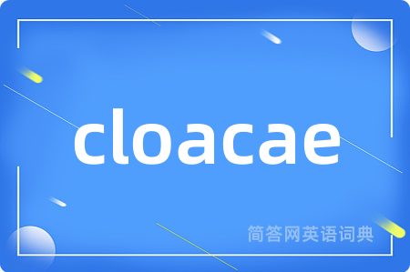 cloacae