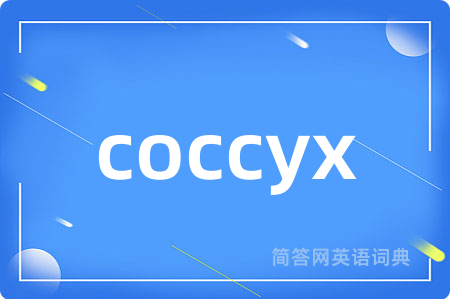 coccyx