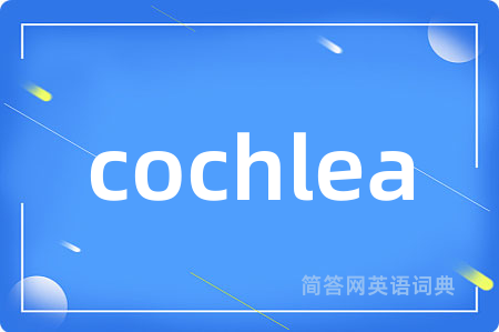 cochlea