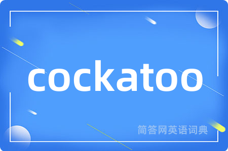 cockatoo