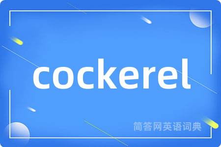 cockerel