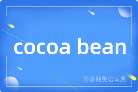 cocoa bean