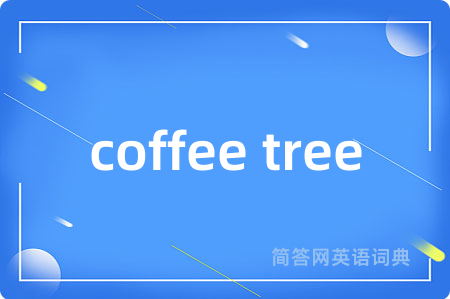 coffee tree是什么意思,coffee tree的中文翻译 coffee tree