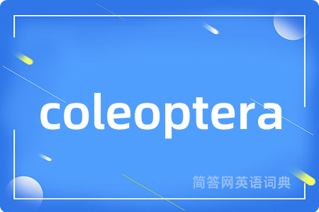 coleoptera是什么意思,coleoptera的中文翻译 coleoptera