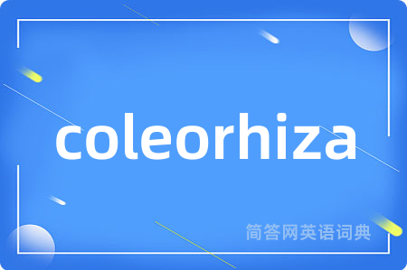 coleorhiza是什么意思,coleorhiza的中文翻译 coleorhiza