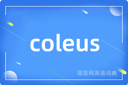 coleus