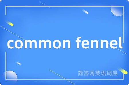 common fennel