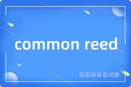 common reed