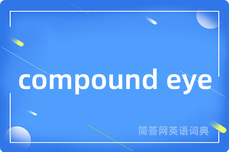 compound eye