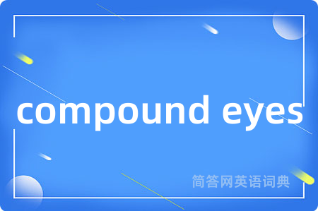 compound eyes
