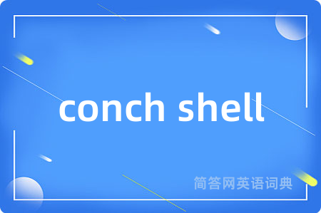 conch shell