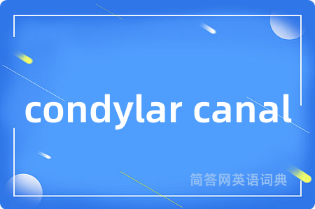 condylar canal