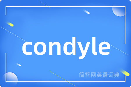 condyle