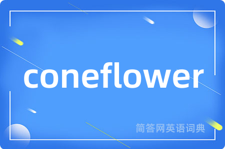 coneflower
