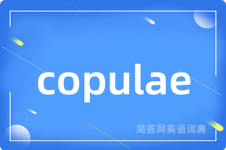 copulae