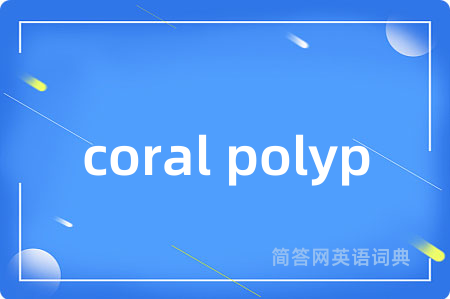 coral polyp