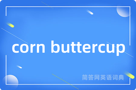 corn buttercup