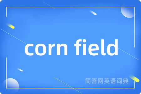 corn field是什么意思,corn field的中文翻译 corn field