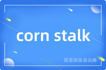corn stalk
