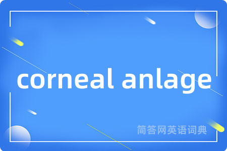 corneal anlage
