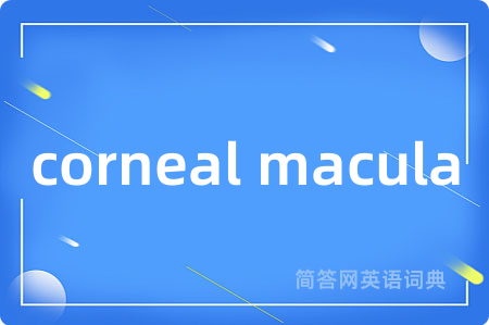 corneal macula