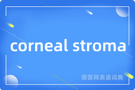 corneal stroma