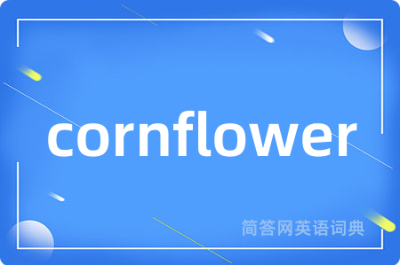 cornflower