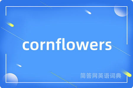cornflowers