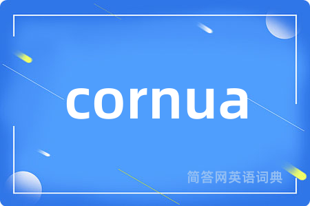 cornua