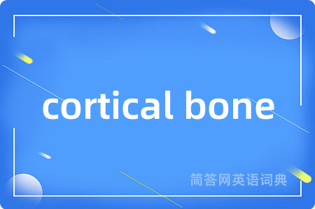 cortical bone