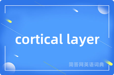 cortical layer