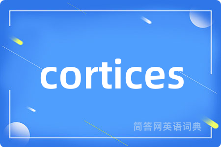 cortices是什么意思,cortices的中文翻译 cortices