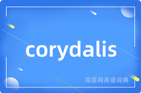 corydalis是什么意思,corydalis的中文翻译 corydalis