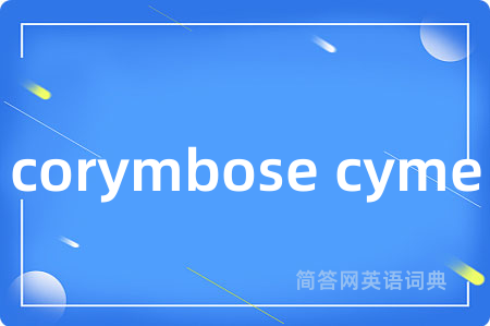 corymbose cyme