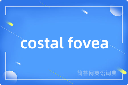 costal fovea