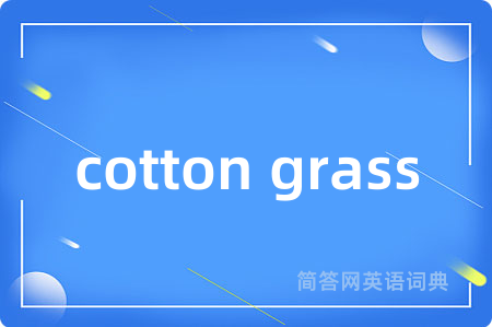 cotton grass
