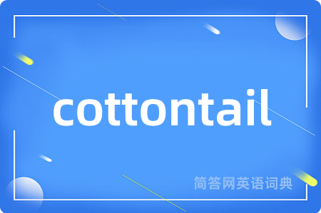 cottontail