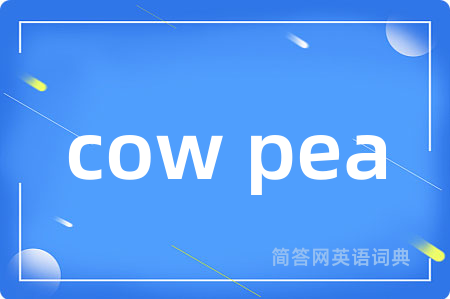 cow pea
