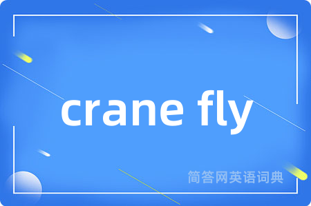 crane fly