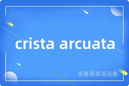 crista arcuata