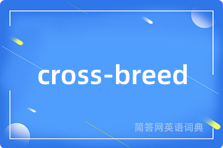 cross-breed