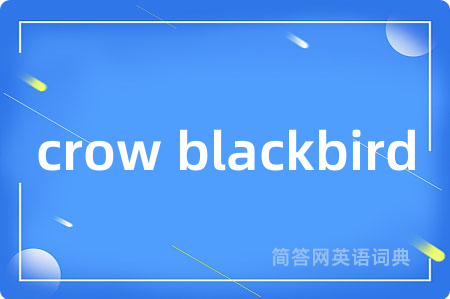 crow blackbird