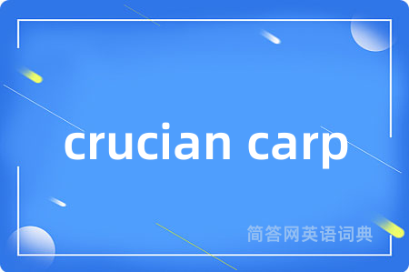 crucian carp是什么意思,crucian carp的中文翻译 crucian carp