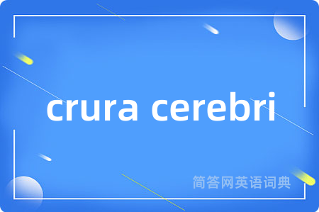 crura cerebri