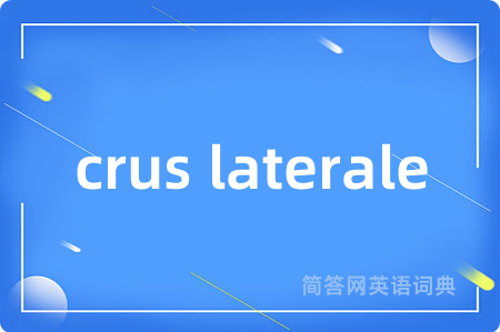 crus laterale