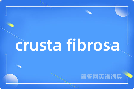 crusta fibrosa
